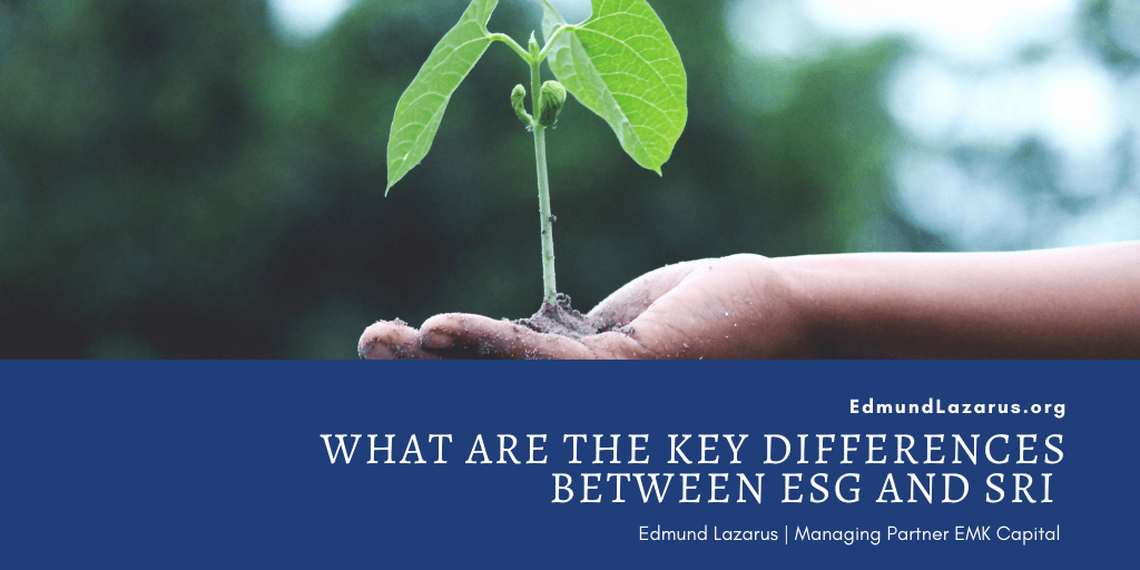What are the Key Differences Between ESG and SRI